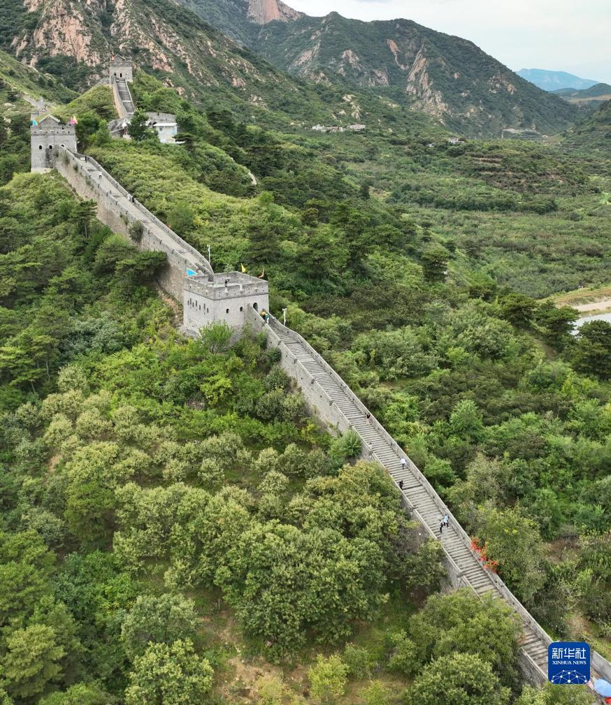 申慱游戏