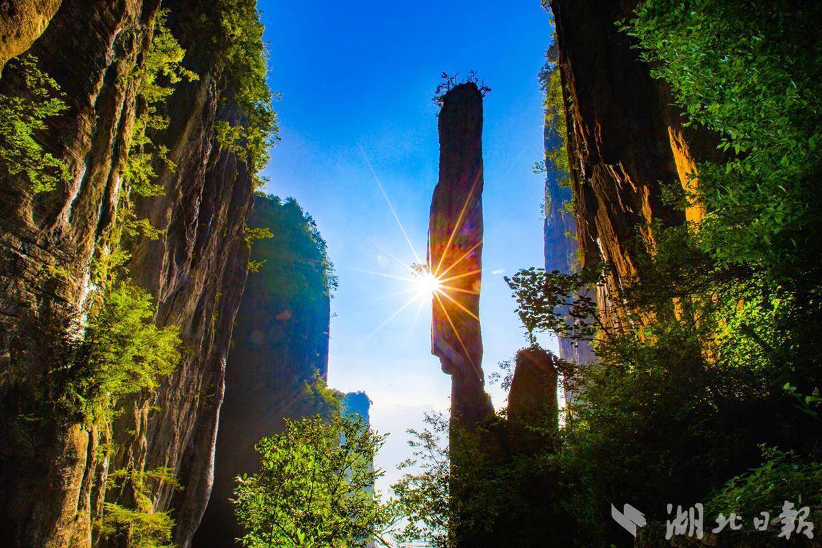 抢皇冠游戏